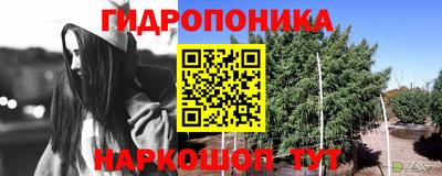 ешки Будённовск