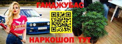 гашик Бузулук