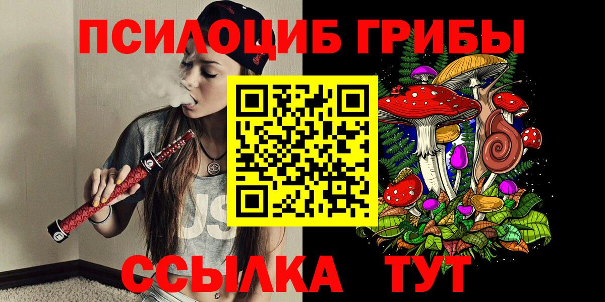 Псилоцибиновые грибы MAGIC MUSHROOMS Вышний Волочёк