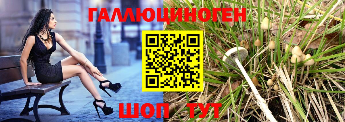 Вышний Волочёк  Галлюциногенные грибы Psilocybe  Вход с VPN 