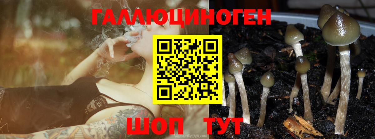 Галлюциногенные грибы мухоморы Вышний Волочёк